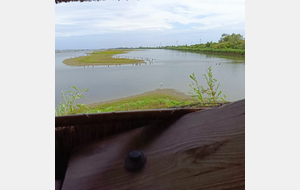 La réserve ornithologique.