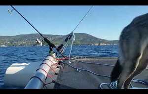 Trikitouni : Cap Nègre - Cavalaire