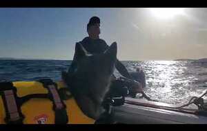 Trikitouni : Navigation cap Nègre-Brégançon