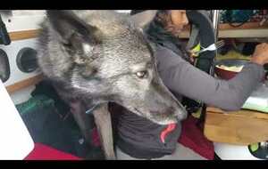 Trikitouni : Mouillage de La Badine (Hyères) - 1